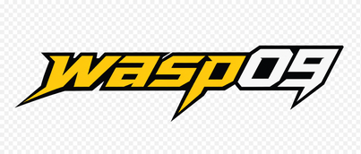 wasp09